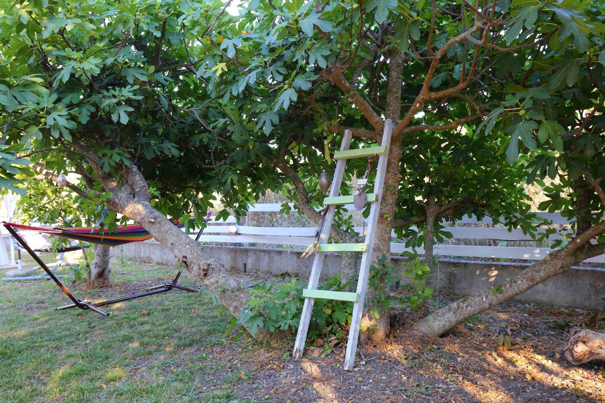 Holiday home Ailanto Lygia (Lefkada)