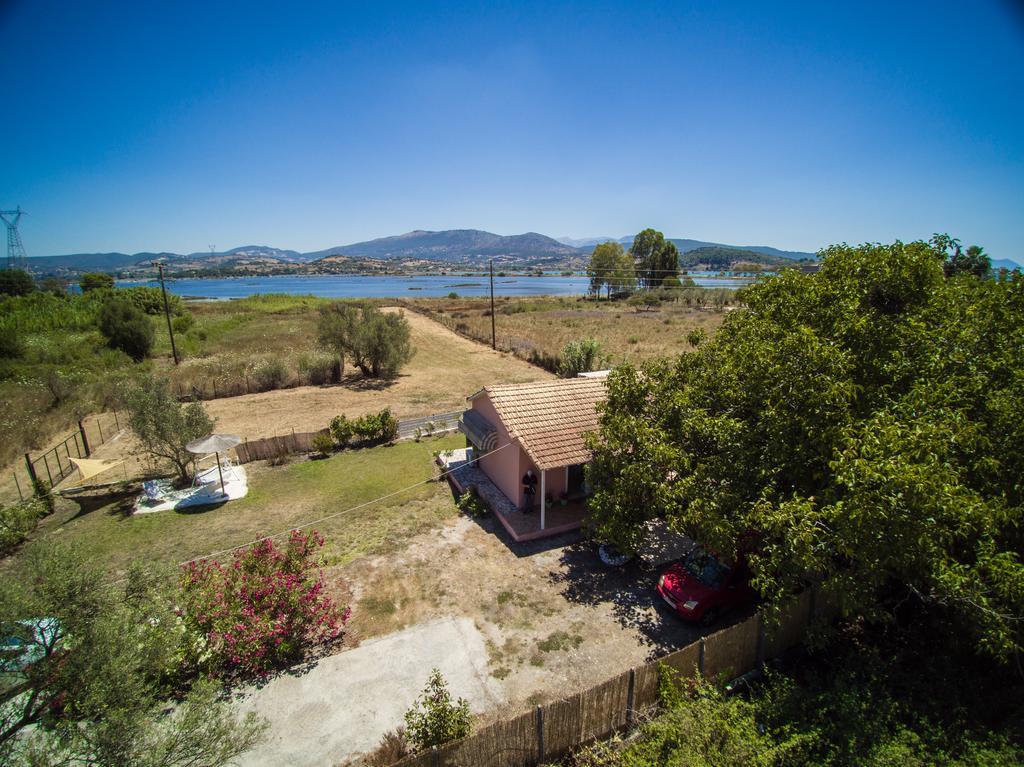 Ailanto * Lygia (Lefkada)